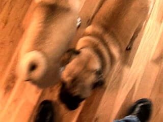 Pretty amateur redhead teen Farrah Flower fucked in public